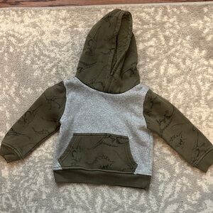 Falls Creek Dinosaur Hoodie - Olive and Gray